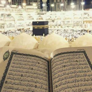 Meet your Posher, Sana